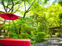 �����{�뉀��