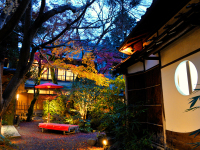 �����{�뉀��