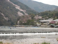 剁