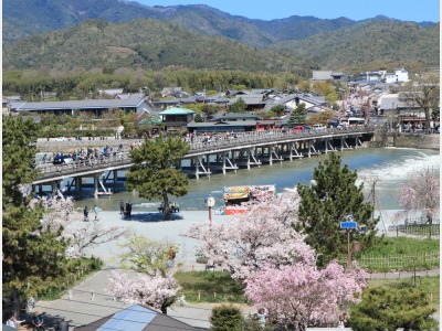 お部屋からの景色　春
