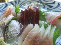 ���h�g�@��