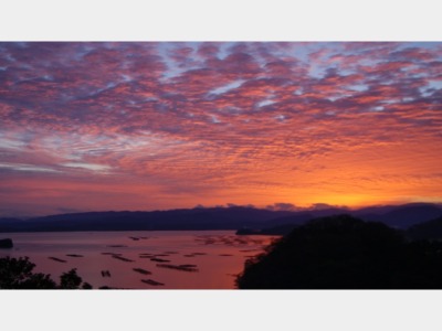 客室からの眺め