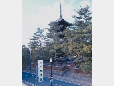 五重の塔（客室より見える風景）