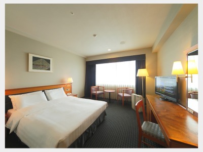 客室一例　ダブル