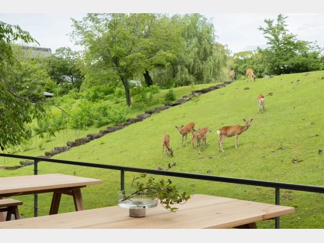 MIROKU TERRACE̒