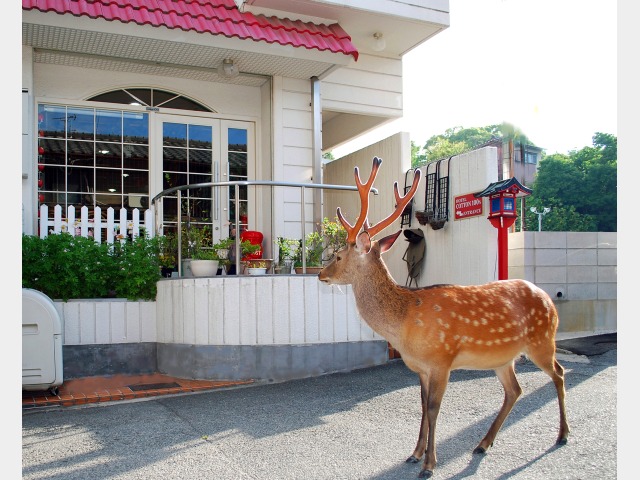 ���Ƃ����Ƃ�