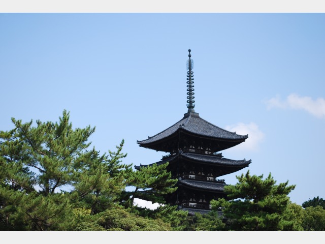 �܏d���@�k���T��