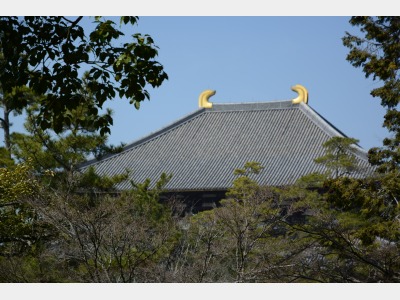 東大寺