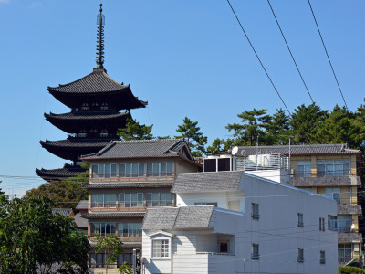 五重塔とこっとん