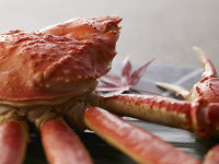 �y�ɂ�/���ʉ�ȁz�H(2025�N9���`11��)  