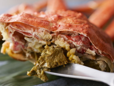 【極み/特別会席】冬(2025年12月～2026年2月)  