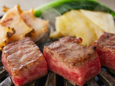 【土地の恵み会席】春(2026年4月11日～5月31日)  