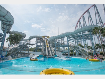 ビッグワンスライダー