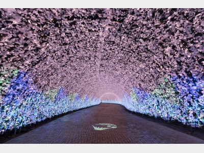 なばなの里イルミネーション