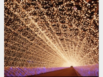 なばなの里イルミネーション