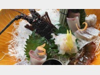 ������芈�����