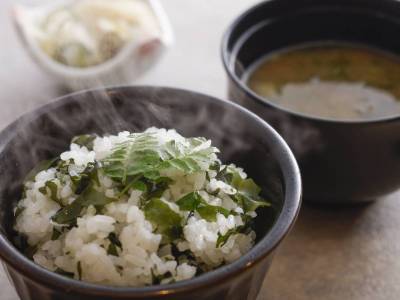 【土地の恵み会席】春(2026年3月～5月) 