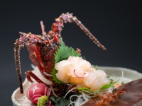 �ɐ����т�����