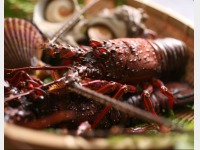 �ɐ��G�r�@�C���[�W