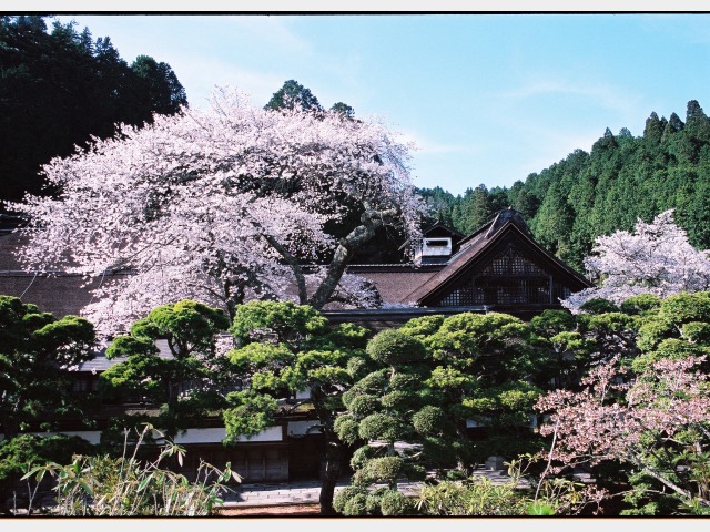 清浄心院 和歌山県 高野山 の施設情報 日本旅行
