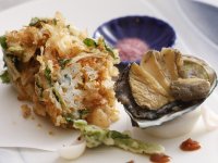 �y���ʉ�ȁz�t�i2026�N3���`5���j