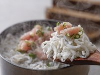 �y�y�n�̌b�݉�ȁz�t�i2026�N3���`5���j