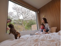 �t�@�~���[���[��_�_�u���x�b�g�~��