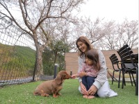 �t�@�~���[���[��_�v���C�x�[�g�K�[�f���~��