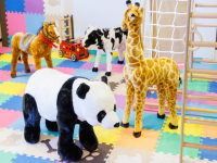 �L�b�Y�X�y�[�X