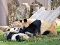 �A�h�x���`���[���[���h