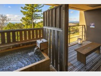 �ł̏��@�q���I�V���C���