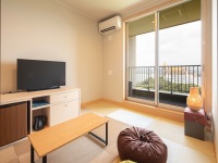 �y�q���z�a�m�����