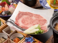 �y���H���z�F�싍�̌��؂肵��Ԃ����