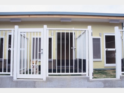 ワンちゃん専用ペットハウス5棟あり