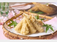 �y3/1-6/30�z26�t�V�[�Y��_⡂̓V��?��