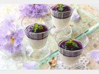 �y7/1-8/31�z26�ăV�[�Y��_�t?���[�w?���[�̃N���[�}�R�b�^