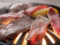 �y�G�߂̉�ȁz2025�N9���`11��