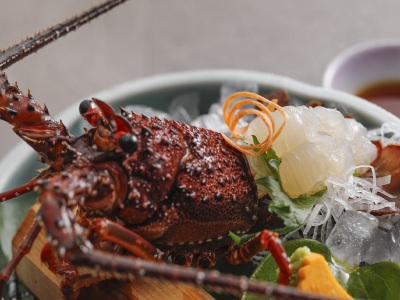 【特別会席】2025年9月～11月