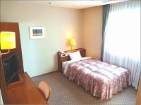 �V���O�����[��