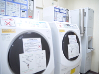 �R�C�������h���[