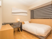 �V���O�����[���i���j