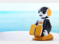 ���{�z��