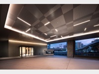 ���ʌ���