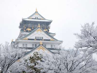 冬の大阪城（イメージ）