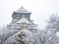 �~�̑���i�C���[�W�j