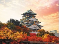 �H�̑���i�C���[�W�j