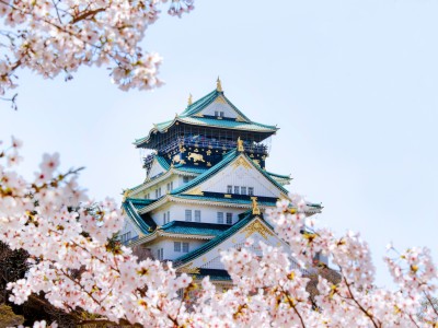 春の大阪城（イメージ）