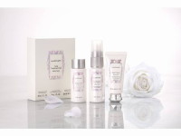 �W���X�`���A�[�g�@�g�[�^���g���[�g�����g��n���h�N���[���E�{�f�B�N���[���E�w�A�~�X�g��3�_�Z�b�g