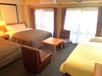 �f���b�N�X�c�C�����[��