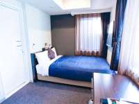 �V���O�����[��